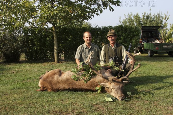 Red deer (Cervus elaphus) shot during the rut, 14 years old, abnormal, hunter and hunting guide, Western Hungary, Hungary, Allgäu, Bavaria, Germany