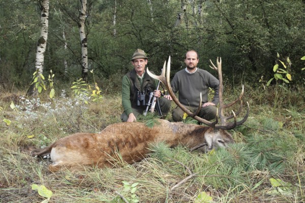 Red deer (Cervus elaphus) shot during the rut, 12 years old, hunter left, and hunting guide, Western Hungary, Hungary, Allgäu, Bavaria, Germany