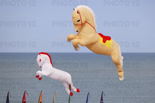Kite festival, international kite festival, kites in the shape of horses, Dieppe, Normandy, France