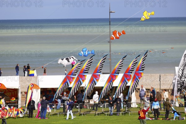 Kite Festival, International Kite Festival, Dieppe, Normandy, France