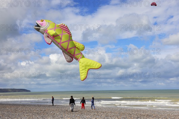 Kite festival on the beach, international kite festival, kite in the shape of a fish, Dieppe, Normandy, France