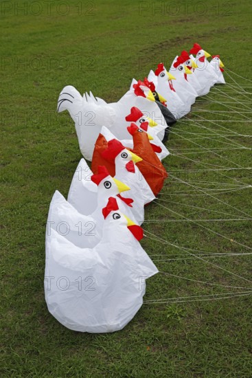 Kite Festival, International Kite Festival, Dieppe, Normandy, France