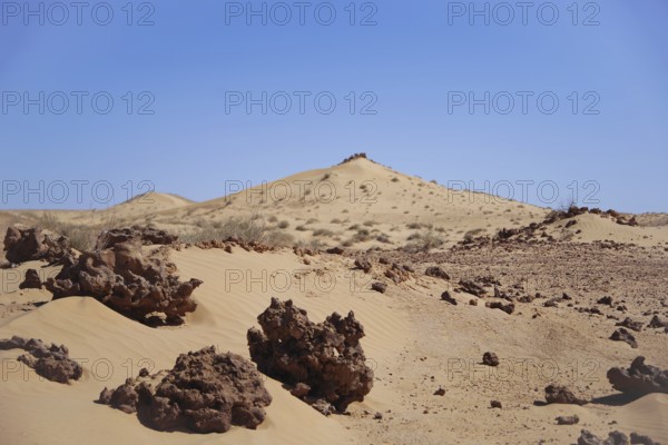 Desert, Sahara, Algeria, sand, action, adventure, adrenalin, hills, arid, dune, stones, barren, landscape