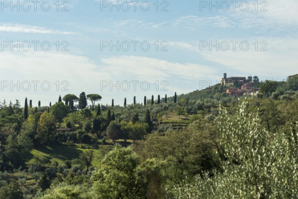 Italy, Tuscany, pines, Castello, castle, mountain, landscape, hill, green