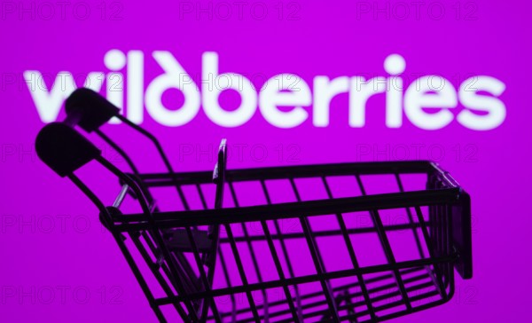 Dhaka, Bangladesh- 03 July 2025: Silhouette of a shopping cart in front of the Wildberries logo, symbolizing ecommerce and online shopping