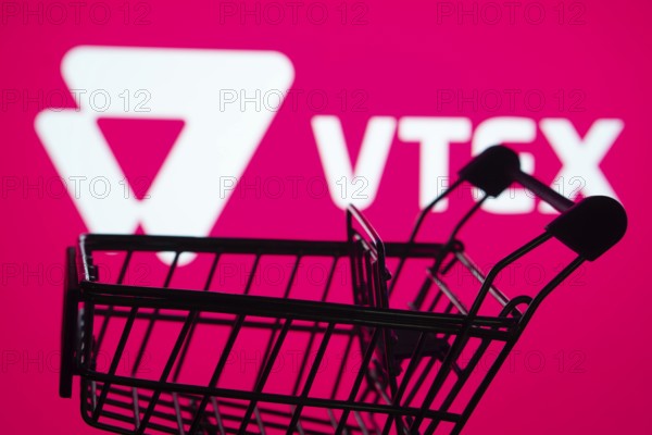 Dhaka, Bangladesh- 03 July 2025: Silhouette of a shopping cart in front of the VTEX logo, symbolizing ecommerce and online shopping