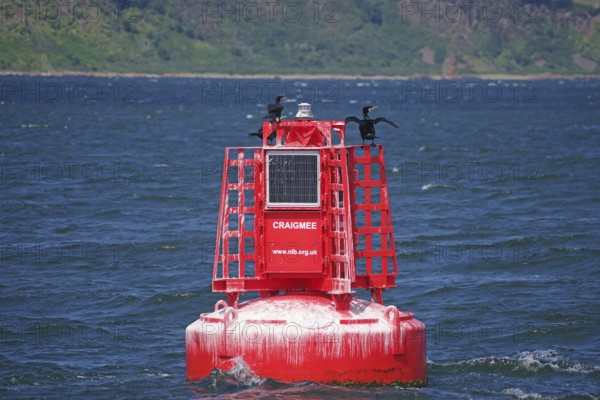 A red buoy with a cormorant rests on the sea, a silent hint in the vast waterscape, Moray Firth, Inverness, Scotland, Great Britain