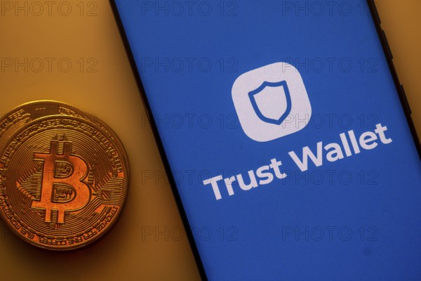 A Bitcoin coin next to a Trust Wallet logo on a blue background