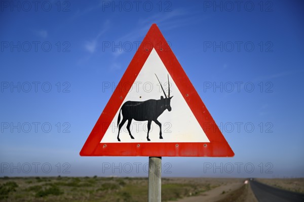 Beware of oryx antelopes (Oryx gazella) sign on a road near Oranjemund, Diamond Sperrgebiet, Karas Region, Namibia