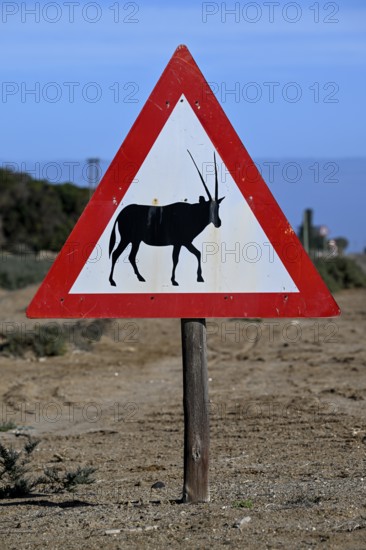 Beware of oryx antelopes (Oryx gazella) sign on a road near Oranjemund, Diamond Sperrgebiet, Karas Region, Namibia