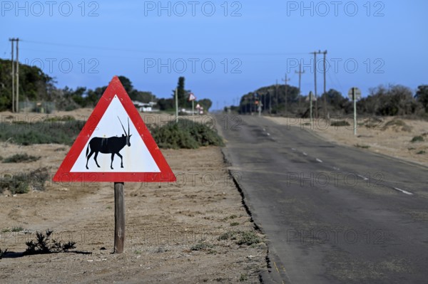 Beware of oryx antelopes (Oryx gazella) sign on a road near Oranjemund, Diamond Sperrgebiet, Karas Region, Namibia