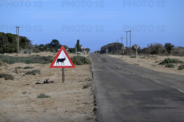 Beware of oryx antelopes (Oryx gazella) sign on a road near Oranjemund, Diamond Sperrgebiet, Karas Region, Namibia