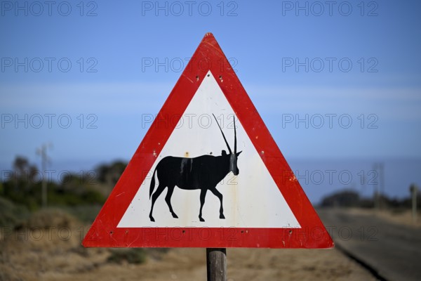 Beware of oryx antelopes (Oryx gazella) sign on a road near Oranjemund, Diamond Sperrgebiet, Karas Region, Namibia