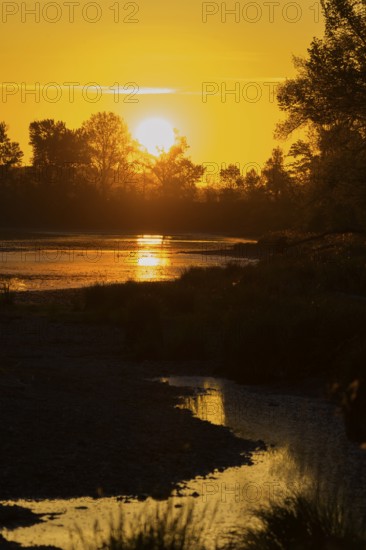 Morning atmosphere, riparian forest, sunrise, Lower Austria