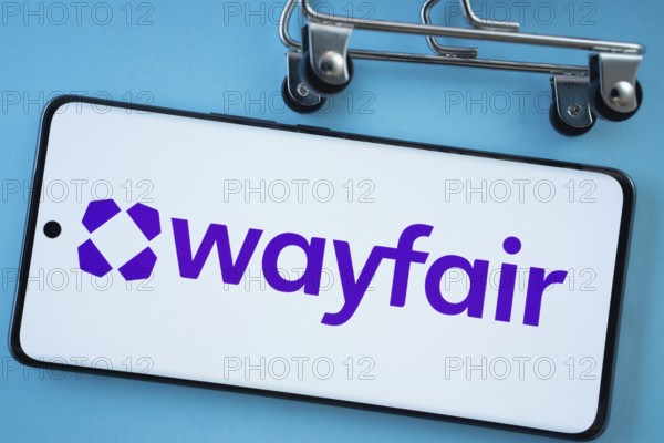 Dhaka, Bangladesh- 03 July 2025: Smartphone screen showing the Wayfair logo with shopping cart wheels on a blue background