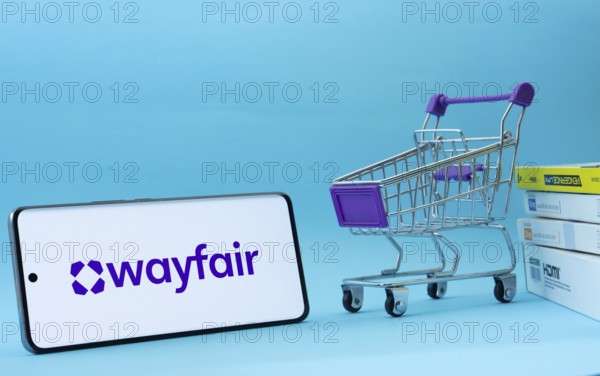 Dhaka, Bangladesh- 03 July 2025: Smartphone with Wayfair logo next to a small shopping cart and boxes against a blue background