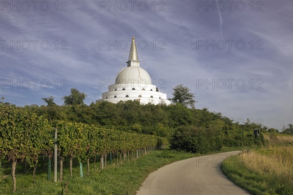 White pagoda at the end of a cobbled path between vines under a cloudy sky, Stupa am Wagram Grafenwörth Weinviertel Lower Austria Austria
