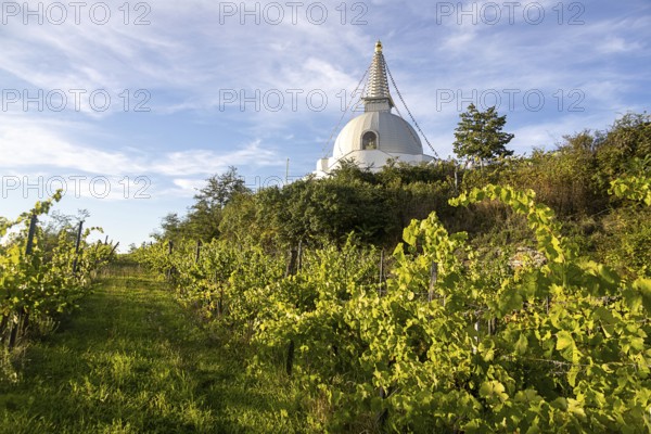 White stupa in the middle of vineyards, under a wide blue sky, peaceful atmosphere, Stupa am Wagram Grafenwörth Weinviertel Lower Austria Austria