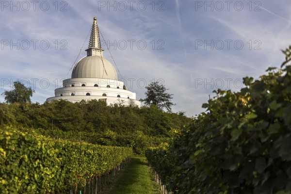 White pagoda behind vineyards in front of a cloudy sky, Stupa am Wagram Grafenwörth Weinviertel Lower Austria Austria