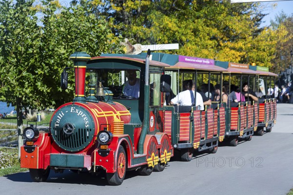 A colourful miniature train with cheerful tourists travels along a tree-lined road, Tulln Weinviertel Lower Austria Austria