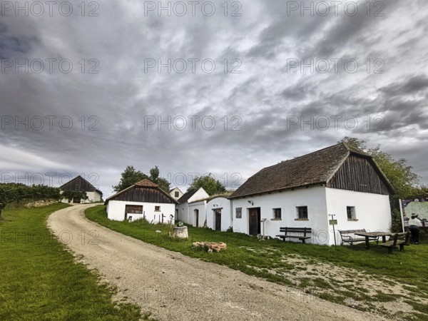 A group of old, traditional houses along a cobbled path under an expansive sky, Kellergasse Hart -Aschenbach Hollabrunn Weinviertel Lower Austria Austria