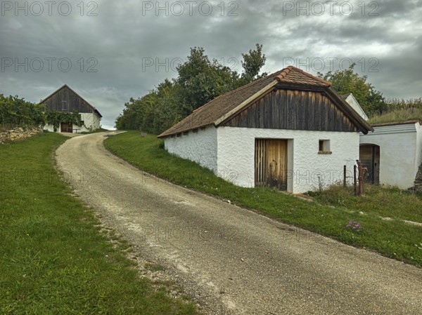 Two old houses in rural style on a curved path under a cloudy sky in green surroundings, Kellergasse Hart -Aschenbach Hollabrunn Weinviertel Lower Austria Austria