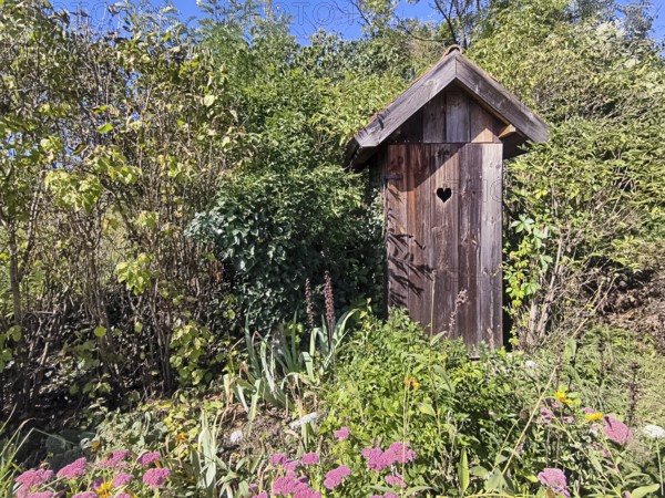 A small wooden house in the garden with a heart symbol on the door Outhouse, surrounded by plants and flowers, Weinviertel Lower Austria Austria