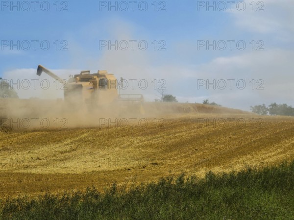 A combine harvester drives across a dusty field under a blue sky, surrounded by harvest and nature, Ernstbrunn Weinviertel Lower Austria Austria