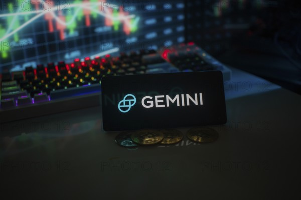 GEMINI logo set against market charts and coins, illuminated by colorful neon lights