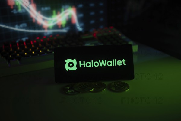 HaloWallet logo highlighted with coins and colorful trading charts in a modern trading ambiance
