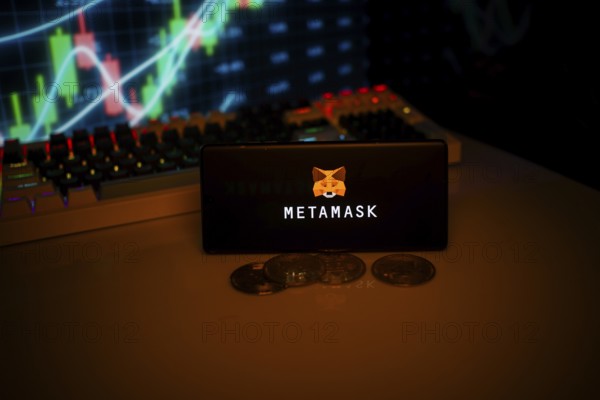 Phone displaying MetaMask with fox logo near coins and market data, linked to crypto use