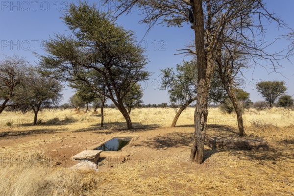 Outjo is a quiet Namibian town surrounded by savannas and hills, with dry sunny nature and calm daily life
