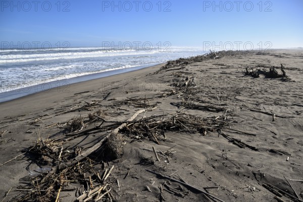 Beach on the Atlantic Ocean near Oranjemund, diamond restricted area, Karas region, Namibia