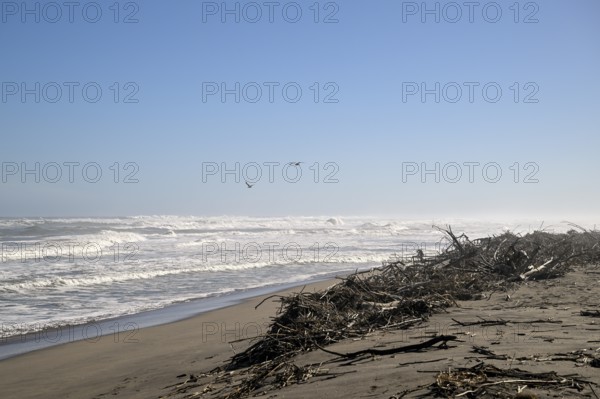 Beach on the Atlantic Ocean near Oranjemund, diamond restricted area, Karas region, Namibia
