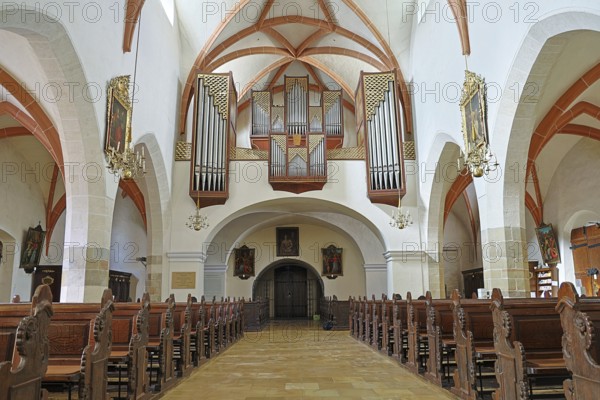 View into the interior of a church with high vaulted ceilings and an impressive organ on the wall, parish church St.Stephan Tulln Lower Austria Austria