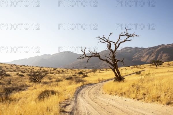 Solitaire is a remote settlement in Namibia, located on the edge of the Namib Desert, surrounded by dunes and mountain ranges