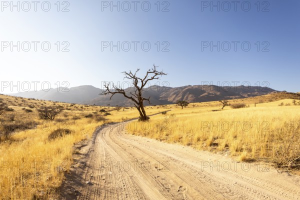 Solitaire is a remote settlement in Namibia, located on the edge of the Namib Desert, surrounded by dunes and mountain ranges