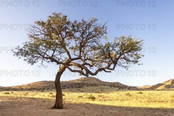 Solitaire is a remote settlement in Namibia, located on the edge of the Namib Desert, surrounded by dunes and mountain ranges