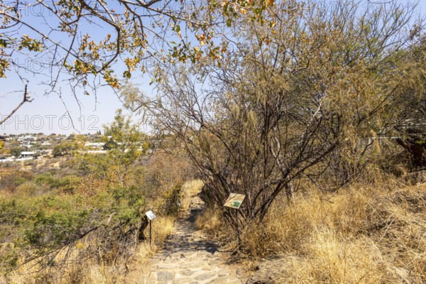A stone pathway winds through dry woodland and bush at the National Botanic Garden, Windhoek, Namibia, with interpretive signs along the trail and distant views of the city beyond the trees