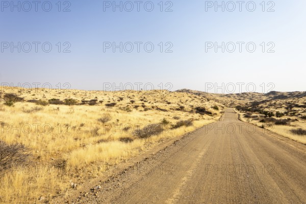 A road Spreetshoogte Pass in Namibia, with a gravel road winding through golden grassland and rocky hills under a bright, clear sky
