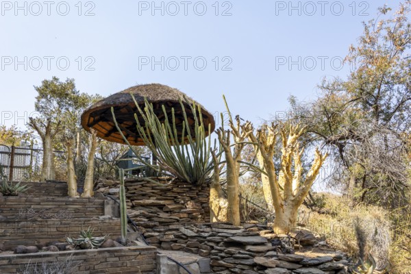 A stone pathway winds through dry woodland and bush at the National Botanic Garden, Windhoek, Namibia, with interpretive signs along the trail and distant views of the city beyond the trees