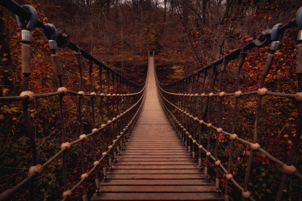 Suspension rope bridge in an autumnal forest with red foliage, Rhineland-Palatinate, Germany