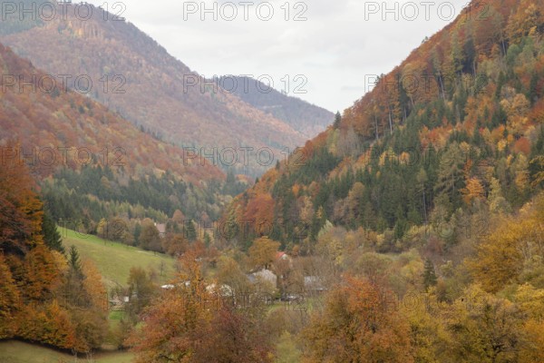 View of the valley with colourful autumn forests and a small village in the middle of the mountains, Ybbstal Mostviertel Lower Austria Austria