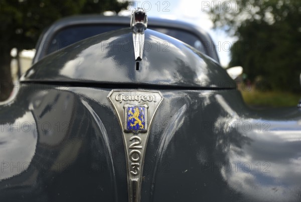Front view of a vintage Peugeot 203, seen at a company anniversary of Energie-Mann in Westerwald