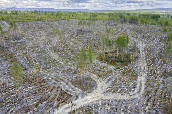 Aerial view over Swedish clearcut area, clearcutting, clearfelling is a forestry, logging practice in which all trees are cut down, Dalarna, Sweden
