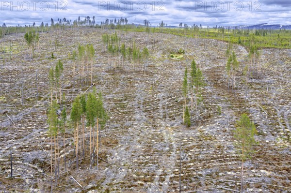 Aerial view over Swedish clearcut area, clearcutting, clearfelling is a forestry, logging practice in which all trees are cut down, Dalarna, Sweden
