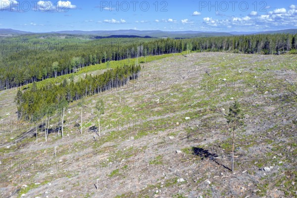 Aerial view over Swedish clearcut area, clearcutting, clearfelling is a forestry, logging practice in which all trees are cut down, Dalarna, Sweden