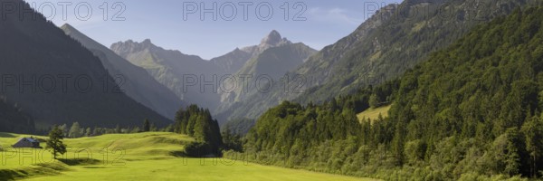 Cleared summer meadow in the Trettachtal, near Oberstdorf, behind it the Kratzer, 2428m and the Trettachspitze, 2595m, Allgäu Alps, Allgäu, Bavaria, Germany