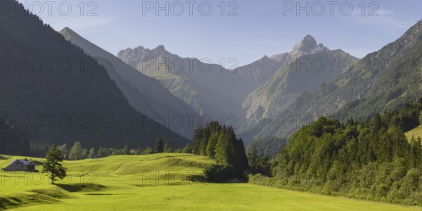 Cleared summer meadow in the Trettachtal, near Oberstdorf, behind it the Kratzer, 2428m and the Trettachspitze, 2595m, Allgäu Alps, Allgäu, Bavaria, Germany