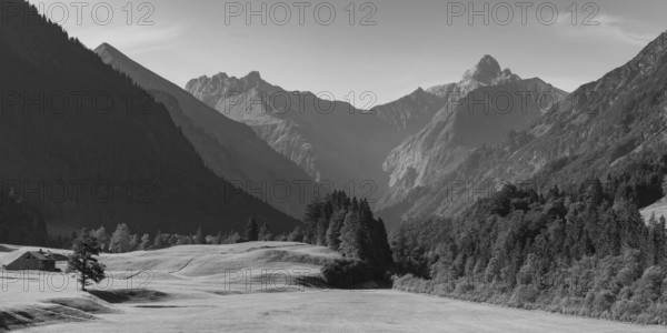 Cleared summer meadow in the Trettachtal, near Oberstdorf, behind it the Kratzer, 2428m and the Trettachspitze, 2595m, Allgäu Alps, Allgäu, Bavaria, Germany